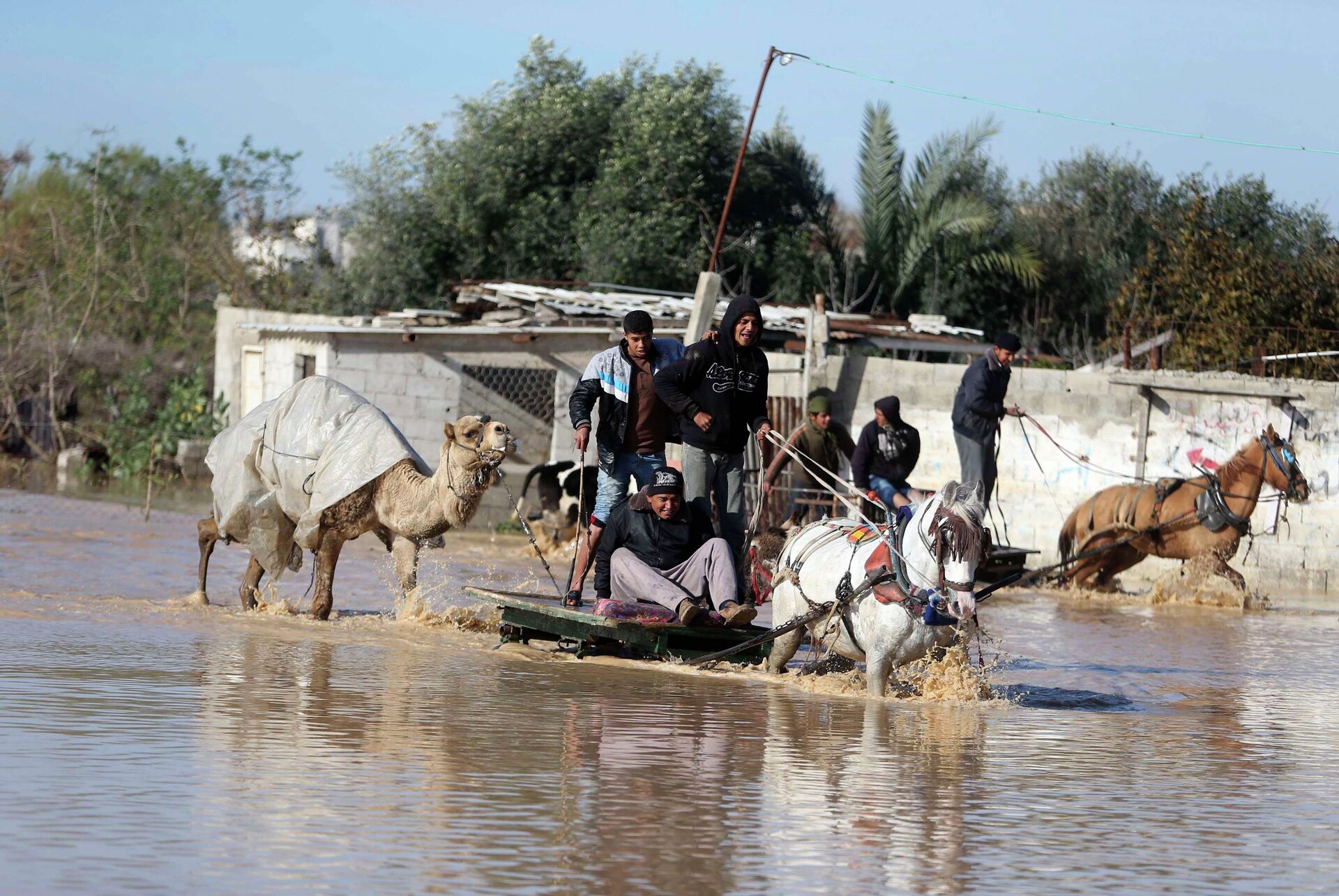 Palestinians ride horse carts as they evacuate their animals in the village of Al-Moghraga after it was flooded by rain water, near central Gaza Strip February 22, 2015 - Sputnik International, 1920, 04.11.2021