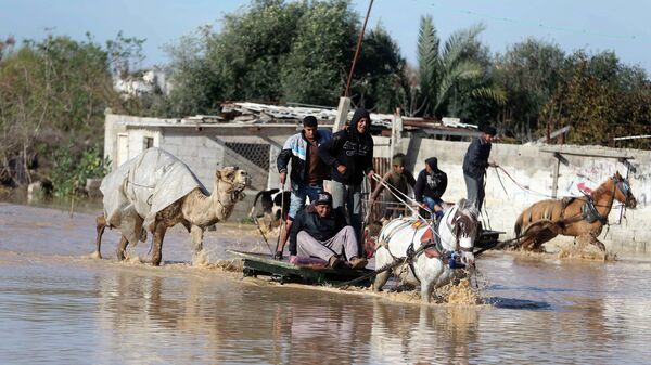 Palestinians ride horse carts as they evacuate their animals in the village of Al-Moghraga after it was flooded by rain water, near central Gaza Strip February 22, 2015. - Sputnik International