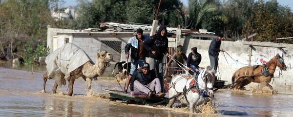 Palestinians ride horse carts as they evacuate their animals in the village of Al-Moghraga after it was flooded by rain water, near central Gaza Strip February 22, 2015. - Sputnik International