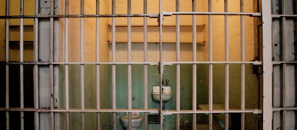 There was no fire in the cell, and no foul play is suspected. It is unclear whether the death was accidental or a suicide. There was no fire in the cell, and no foul play is suspected. It is unclear whether the death was accidental or a suicide. - Sputnik International