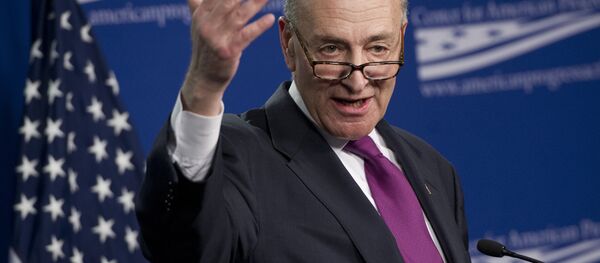 US Democratic Senator Chuck Schumer of New York during a speech at the Center for American Progress (CAP) in Washington, DC, January 23, 2014 US Democratic Senator Chuck Schumer of New York during a speech at the Center for American Progress (CAP) in Washington, DC, January 23, 2014 - Sputnik International