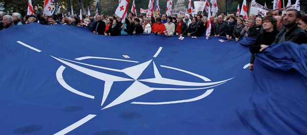 Demonstrators carry a huge banner with a NATO sign and Georgian national flags during a rally in Tbilisi - Sputnik International