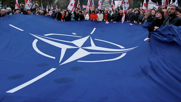 Demonstrators carry a huge banner with a NATO sign and Georgian national flags during a rally in Tbilisi - Sputnik International