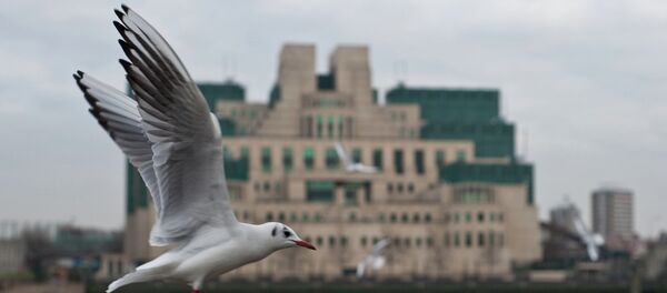Gull flying past the SIS (MI6) building in Vauxhall Gull flying past the SIS (MI6) building in Vauxhall - Sputnik International