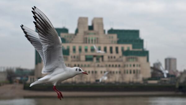 Gull flying past the SIS (MI6) building in Vauxhall - Sputnik International