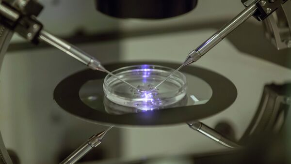 A petri dish at a fertility clinic in London - Sputnik International