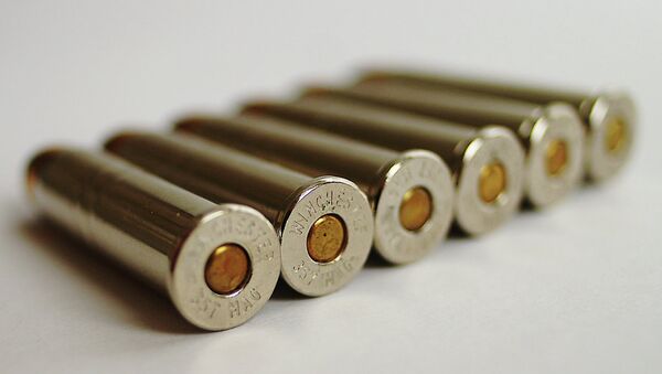 357 Magnum Cartridges - Sputnik International