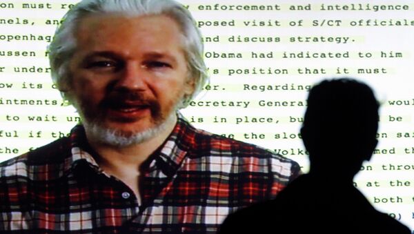 Founder of Wikileaks Julian Assange - Sputnik International