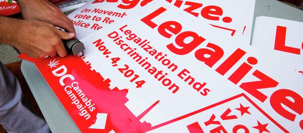 Adam Eidinger, chairman of the DC Cannabis Campaign, works on posters encouraging people to vote yes on DC Ballot Initiative 71 to legalize small amounts of marijuana for personal use, in Washington. Adam Eidinger, chairman of the DC Cannabis Campaign, works on posters encouraging people to vote yes on DC Ballot Initiative 71 to legalize small amounts of marijuana for personal use, in Washington. - Sputnik International