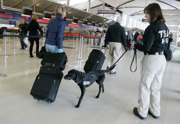 A Transportation Security Administration inspector and dog check out passengers at the Detroit Metropolitan Airport. - Sputnik International