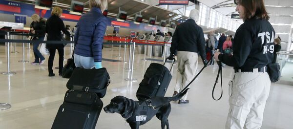A Transportation Security Administration inspector and dog check out passengers at the Detroit Metropolitan Airport. A Transportation Security Administration inspector and dog check out passengers at the Detroit Metropolitan Airport. - Sputnik International
