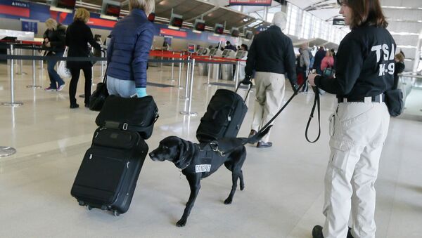 A Transportation Security Administration inspector and dog check out passengers at the Detroit Metropolitan Airport. - Sputnik International