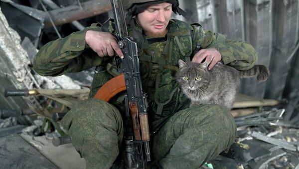 A Russian independence supporter pets a cat inside the destroyed building of the airport, outside Donetsk, Ukraine, Wednesday, Feb. 25, 2015 - Sputnik International