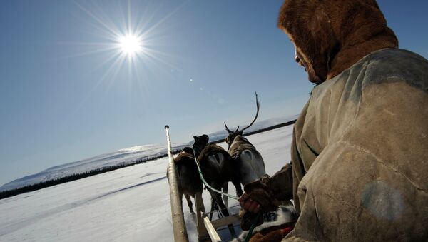 Reindeer Herdsman's Day in village of Lovozero - Sputnik International