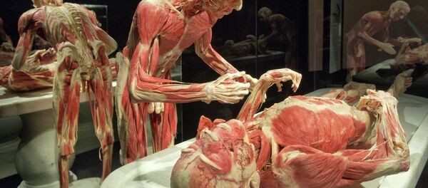 Introducing the technique, Canavero believes it would save the lives of those facing terminal diseases, reported the Guardian. Introducing the technique, Canavero believes it would save the lives of those facing terminal diseases, reported the Guardian. - Sputnik International