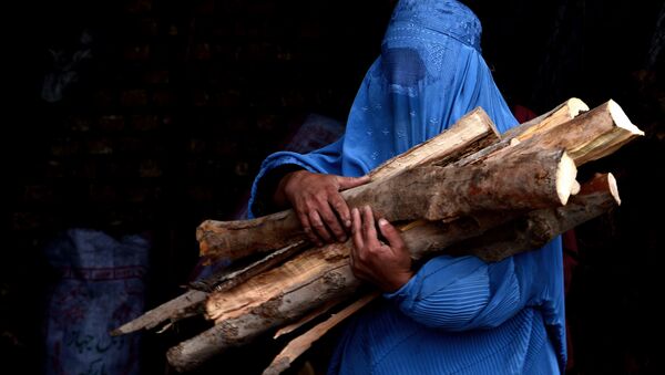 In this photograph taken on February 23, 2015, a burqa-clad Afghan woman carries chopped logs after buying them at a firewood yard in Herat - Sputnik International
