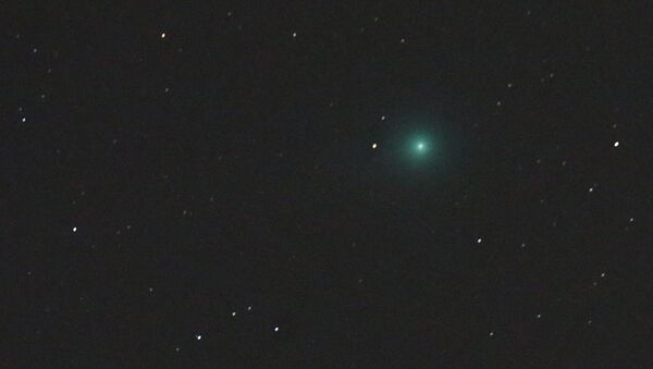 Comet Lovejoy, C/2014 Q2 is seen traveling though the starfield of the constellation Eridanus, near Orion on Jan. 7, 2015, as seen from Tyler, Texas. - Sputnik International