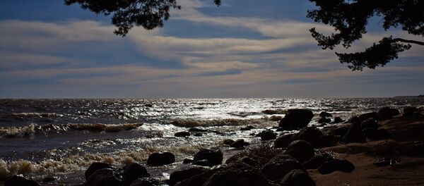 Shore of the Gulf of Finland in the resort area of St. Petersburg - Sputnik International