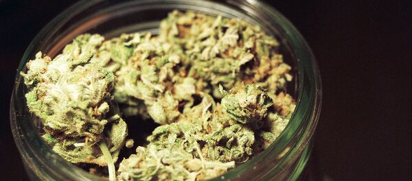 Pot in jar Pot in jar - Sputnik International