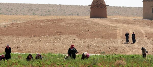 A study from climate scientists finds that droughts caused by climate change had a catalytic effect on the political unrest in Syria. - Sputnik International