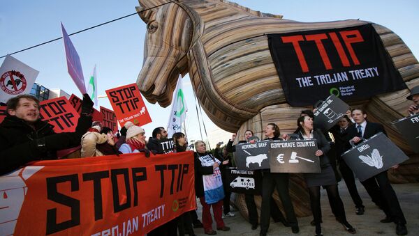 Anti-TTIP demonstration - Sputnik International