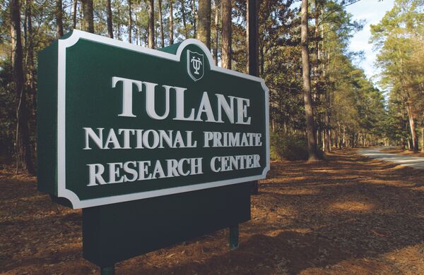 Investigators say, the bacteria was accidentally leaked from the Tulane National Primate Research Center in Louisiana, where researchers were using rodents to test a vaccine against it. - Sputnik International