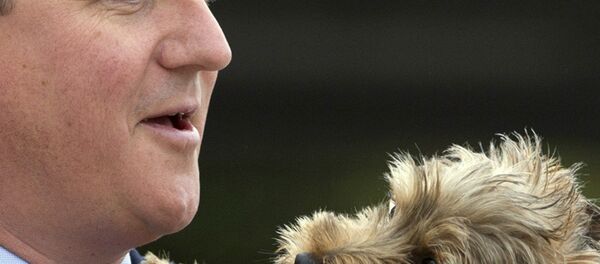 Britain's Prime Minister David Cameron holds Bertie a nine month old Yorkshire Terrier Britain's Prime Minister David Cameron holds Bertie a nine month old Yorkshire Terrier - Sputnik International