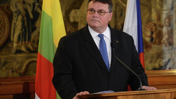 Lithuanian Foreign Minister Linas Linkevicius and his Czech counterpart (not in picture) give a joint press conference - Sputnik International