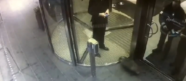 Angry badger shuts down luxury Stockholm hotel - Sputnik International