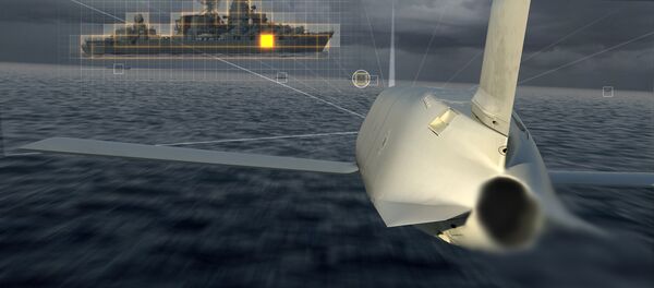 Target in sight for Lockheed Martin's LRASM stealth standoff missile. Target in sight for Lockheed Martin's LRASM stealth standoff missile. - Sputnik International
