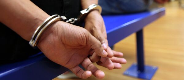 US Immigration and Customs Enforcement US Immigration and Customs Enforcement - Sputnik International