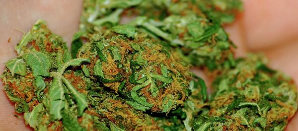 While 23 states have legalized medical pot, the bill would prevent the federal government from interfering in states’ marijuana laws and stop the Drug Enforcement Agency from closing medical marijuana dispensaries. - Sputnik International