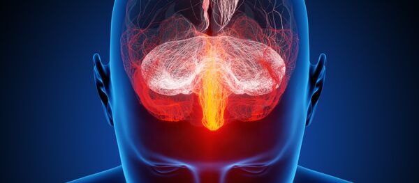 The Human Brain Project was selected in January 2013 after a funding contest as one of two flagship projects of the EC's Future and Emerging Technologies program. The Human Brain Project was selected in January 2013 after a funding contest as one of two flagship projects of the EC's Future and Emerging Technologies program. - Sputnik International