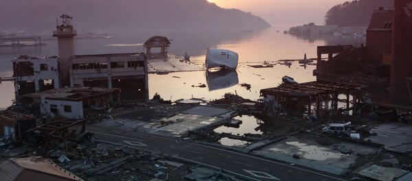 No Fukushima Ever Again: Fourth Anniversary of the 2011 Earthquake in Japan - Sputnik International