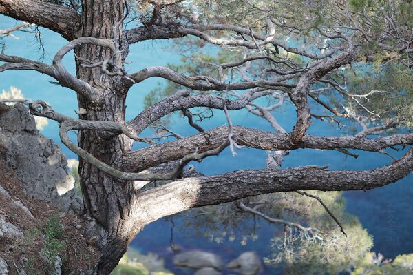 Crimea Crimea - Sputnik International