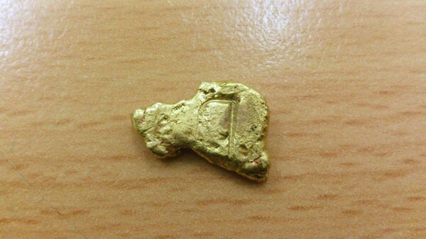 Brown came home with a 2.7 kilogram gold nugget, worth over $100,000. - Sputnik International