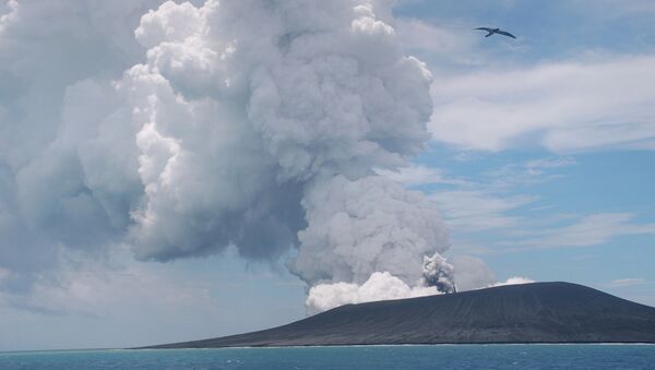 This view taken on January 17, 2015 from a boat at sea shows a frigate bird (C) flying on the thermals from the new vent as steam and gas rise from the eruption of a volcano, some 65 kilometres (40 miles) northwest of the South Pacific nation Tonga's capital Nuku'alofa - Sputnik International
