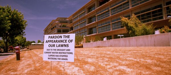 A company apologizes for the state of its lawn during the California drought A company apologizes for the state of its lawn during the California drought - Sputnik International