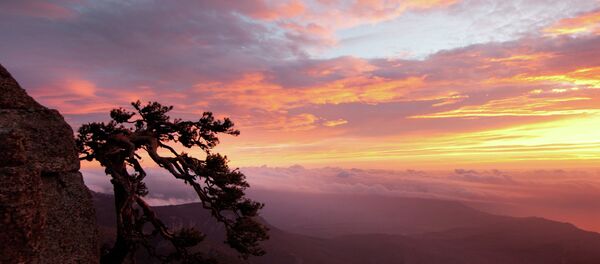 One day, when ruling leaders in the EU and the United States will change, the West would eventually recognize Crimea’s reunification with Russia, political analyst Jon Hellevig told Sputnik. - Sputnik International