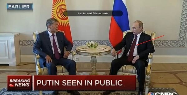 Russian President Vladimir Putin meets Kyrgyz President at St. Petersburg's Constantine Palace. Russian President Vladimir Putin meets Kyrgyz President at St. Petersburg's Constantine Palace. - Sputnik International