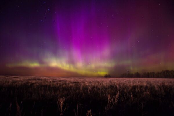 The northern lights, as seen in the Ryazan region of western Russia The northern lights, as seen in the Ryazan region of western Russia - Sputnik International