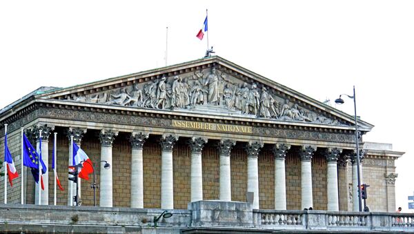The National Assembly is the lower house of the bicameral Parliament of France. - Sputnik International