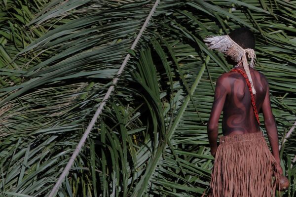 Bolsonaro Gov't Pushing Brazil's Native Peoples to the Edge of Extinction, Indigenous Leader Warns - Sputnik International