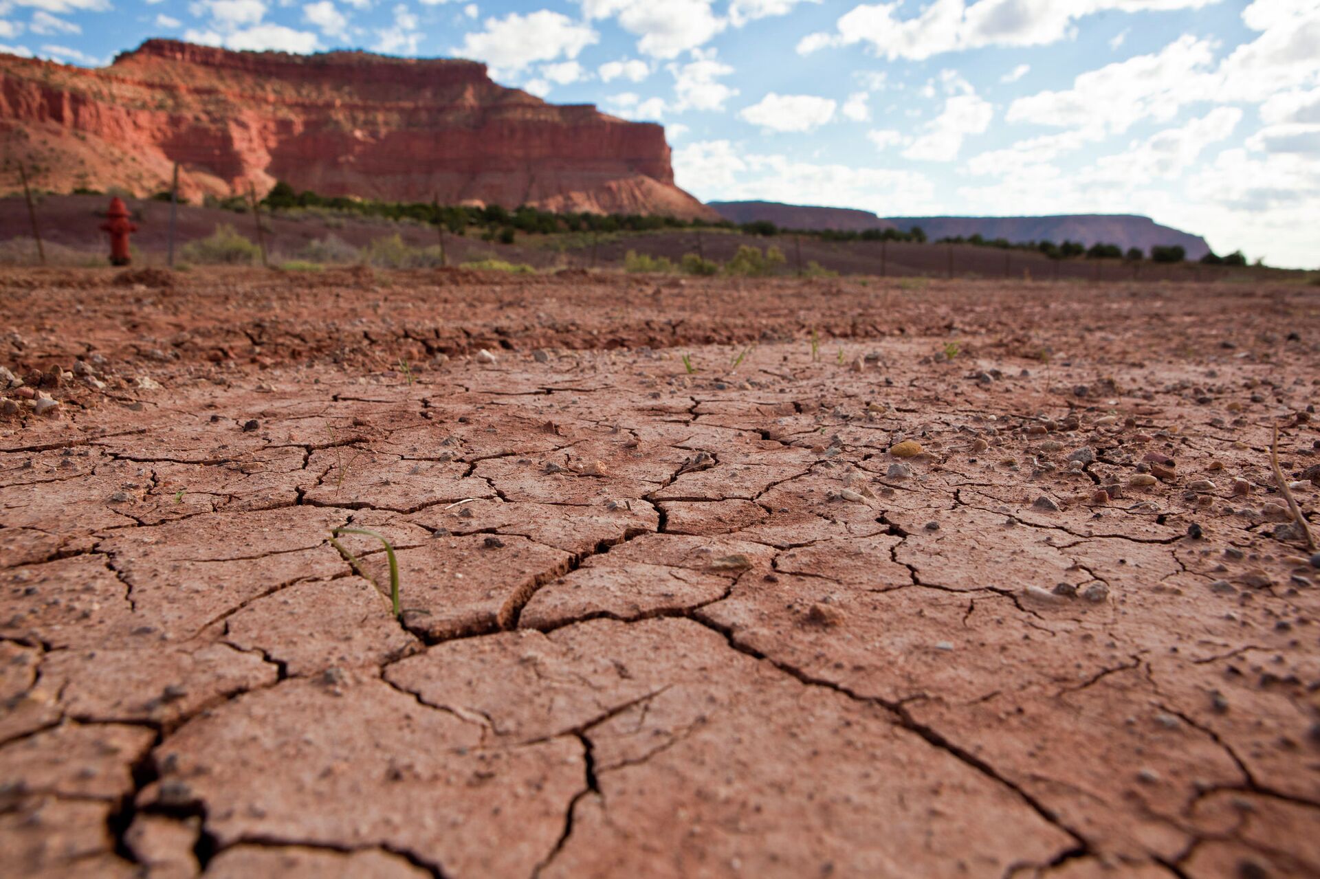 Drought - Sputnik International, 1920, 18.05.2025