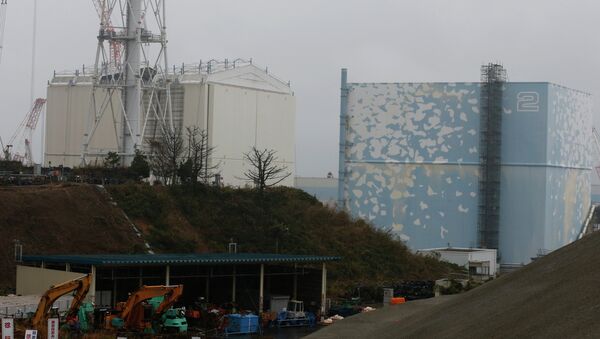A building covering the Unit 1 reactor (L) is removed by a crane at the Fukushima Dai-ichi nuclear power plant in Okuma, Fukushima Prefecture, northeastern Japan on November 12, 2014 - Sputnik International