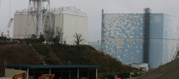 A building covering the Unit 1 reactor (L) is removed by a crane at the Fukushima Dai-ichi nuclear power plant in Okuma, Fukushima Prefecture, northeastern Japan on November 12, 2014 - Sputnik International