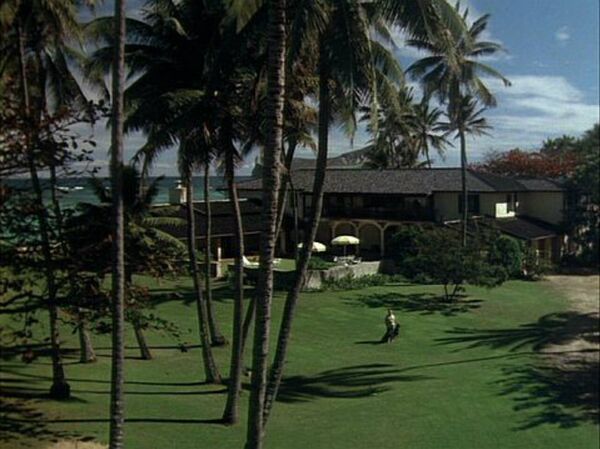 The Robin's Nest  - Sputnik International