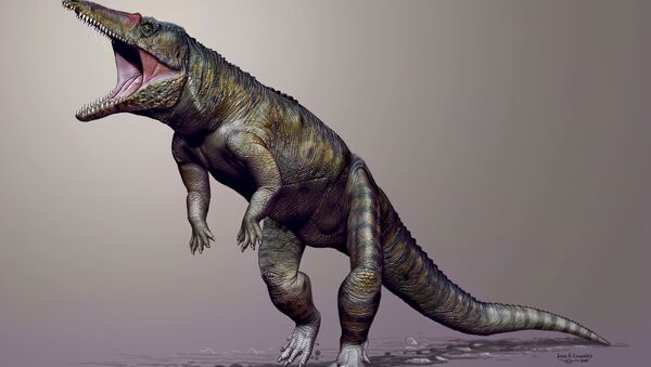 Carnufex carolensis, a newly-discovered crocodilian ancestor that walked on its hind legs, is pictured in this handout life reconstruction obtained by Reuters March 19, 2015 - Sputnik International