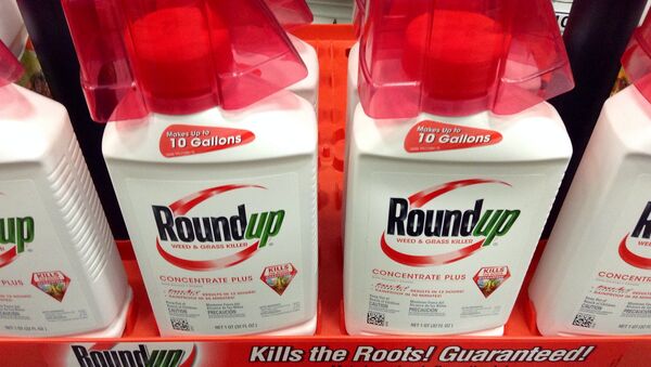 Monsanto's cash cow weedkiller Roundup probably causes cancer, according to a new report from the United Nation's cancer research organization. - Sputnik International