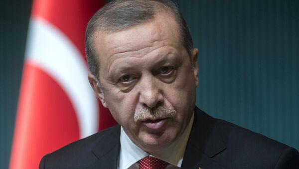 President of Turkey Recep Tayyip Erdogan - Sputnik International